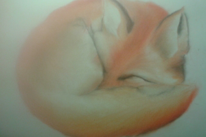 Работа 3369166