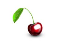 img147496.png