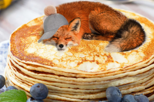 лиса на блинах. фотошоп