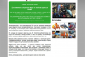 Летающая рыба