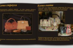 Буклет BLQ, с.4-5