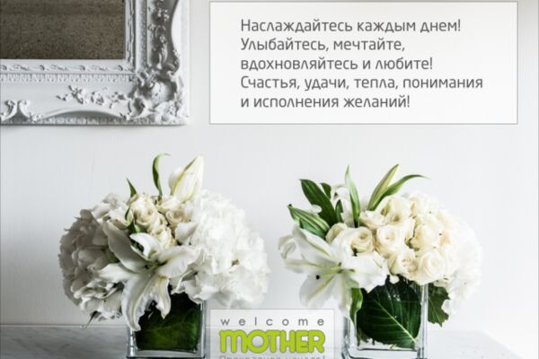 img3356471.png