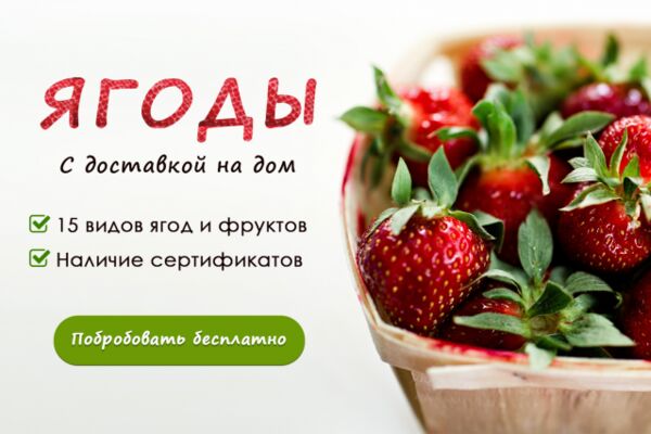 img3354280.png