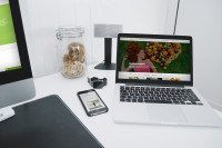 newdetox.ru