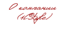 О КОМПАНИИ (1СStyle)