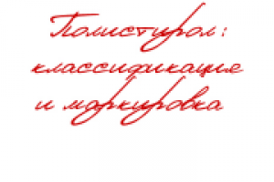 Полистирол: классификация и маркировка