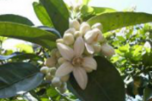 Как самостоятельно повысить потенцию