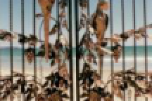 Автоматические ворота