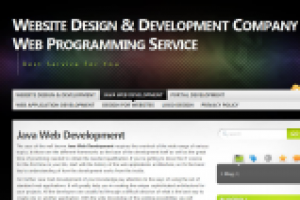 Java Web Development