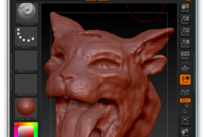 Трехглазый кот (скетч)