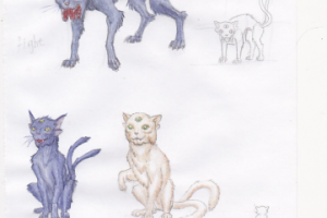 Трехглазый кот (скетч)