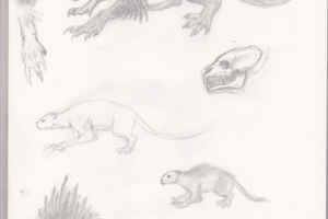 Ехидноморф