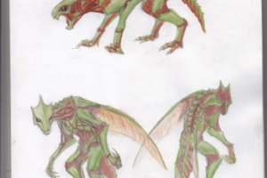 Ненасекомое (концепт)