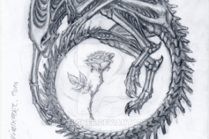 У розы есть не только шипы...