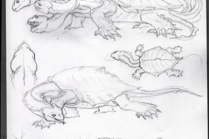 Гидра (скетч)