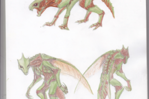 Ненасекомое (концепт)