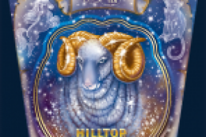 Новогодняя упаковка чая