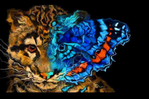 тигр и бабочка