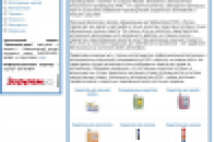 Интернет магазин (автохимия, масла)