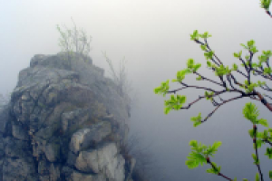 Обнимает седое небо...