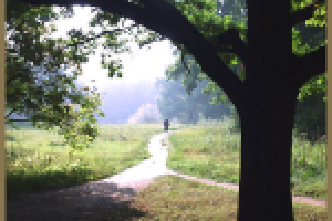 Каждый день между внешним и внутренним...