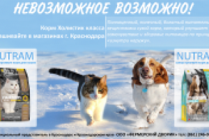 Баннер корма