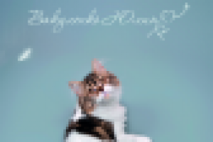 Слоган для ФОТОГРАФА