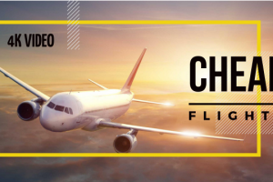 Работа 3350692