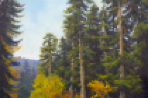 дорога на Русскую поляну (холст на картоне 350х500)