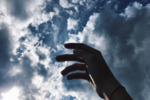 Работа 3350026