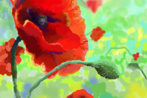 "Маки", графический планшет