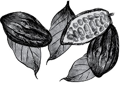img3327052.png