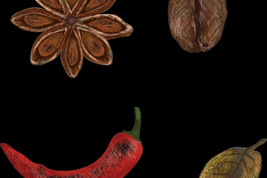 Рисунки для фирменного стиля кафе "БонБон"