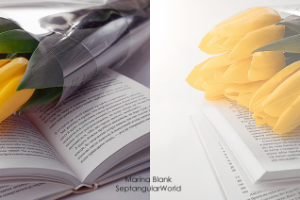 Ретушь High Key