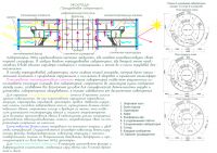 img2041576.png
