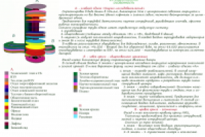 НИЦ Экологии Конкурс 1.3