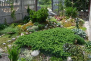 Грамотная подборка растений.