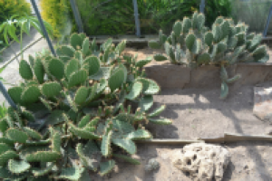 Работа 2200589