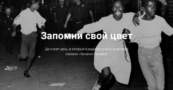 img3324691.png