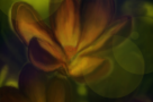 Работа 2315672