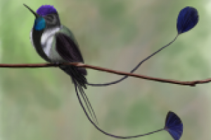 Работа 2315670