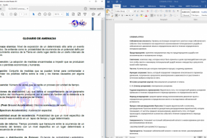 Glosario de Amenazas ES-RU