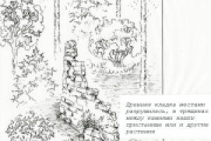 Работа 3023697