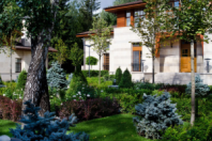 Работа 3023671