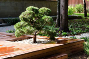 Работа 3023673