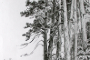 Работа 3023634