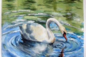 Работа 3023633