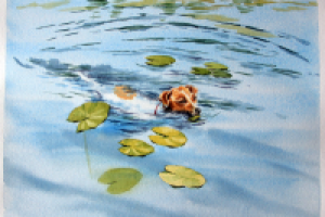 Работа 3023632