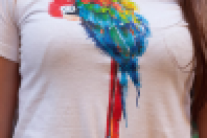 Рисунок на футболке АРА