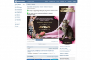 дизайн группы